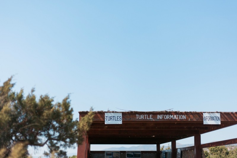 Maxeen Kim Photography, Travel Photography, Destination Wedding Photographer, Cypurs Wedding Photographer, 8 Things to do with Your Wedding Guests in Cyprus, Turtle Nesting Beach
