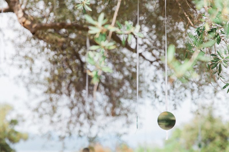 Small Circluar Mirrors Hanging From an Olive Tree