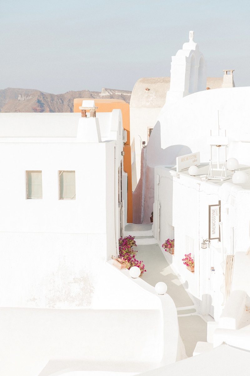 White Houses of Oia Santorini with Pink Flower Pots