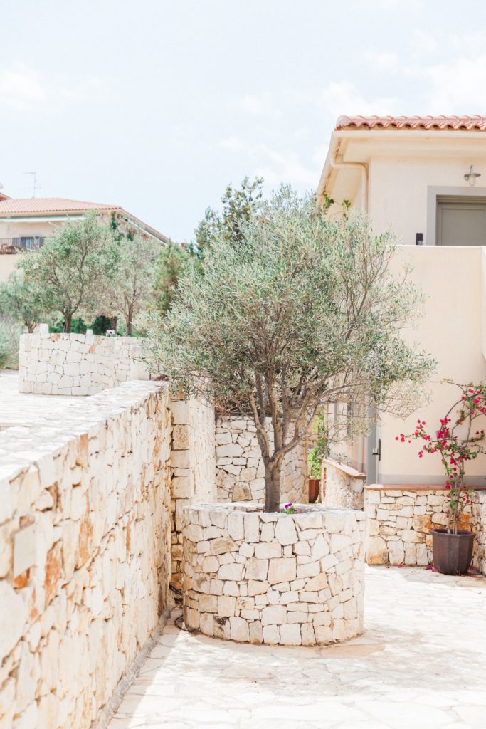 Olive tree and stone buildings at Emelisse Hotel Wedding venue in Greece