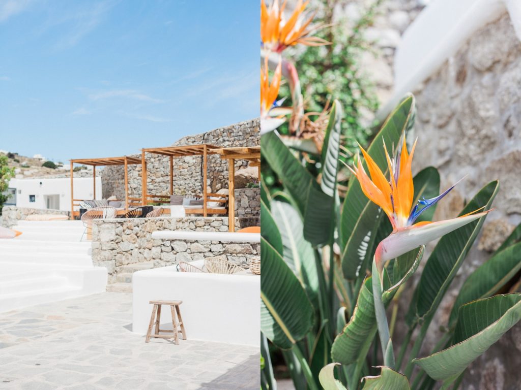 Pool area with four poster cabanas and strelitzia flowers at Artemoulas Studios Mykonos