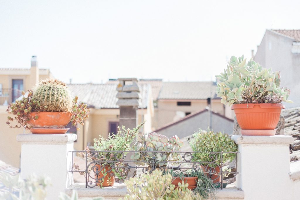 Balcony with herb and cacti potplants in a traditional Italian home