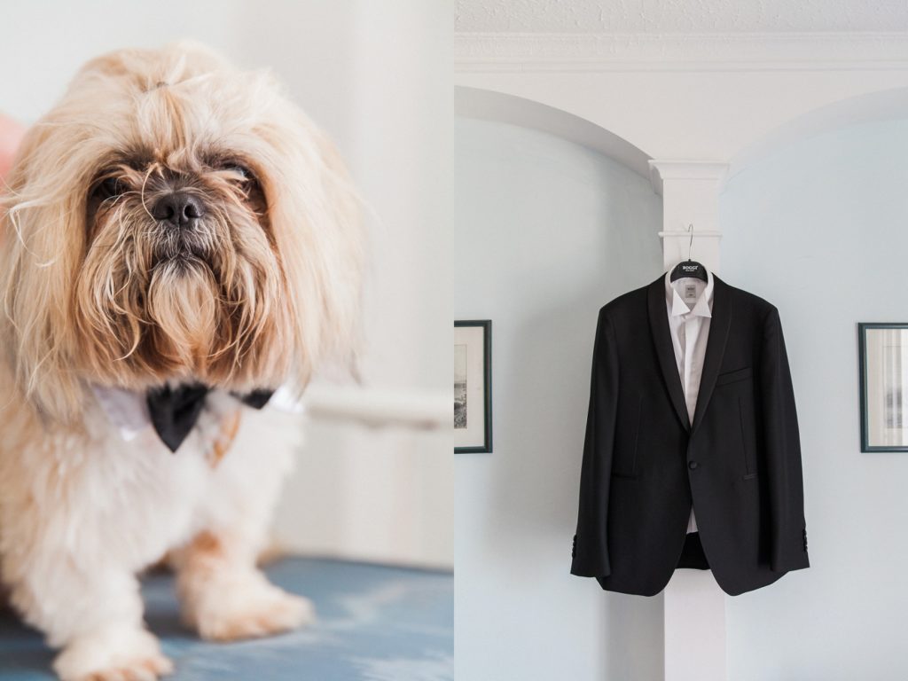 Couples Shih Tzu dog in a bowtie and the grooms suit jacket