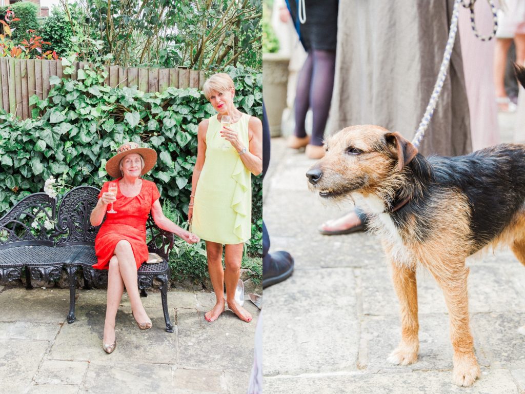 Wedding guests and a dog relax in the garden
