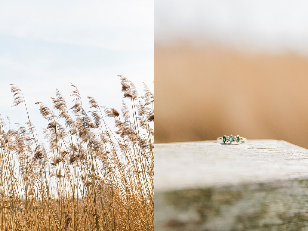 Maxeen Kim Photography, Outdoor Amsterdam Engagement, Fine Art Photography, Destination Wedding