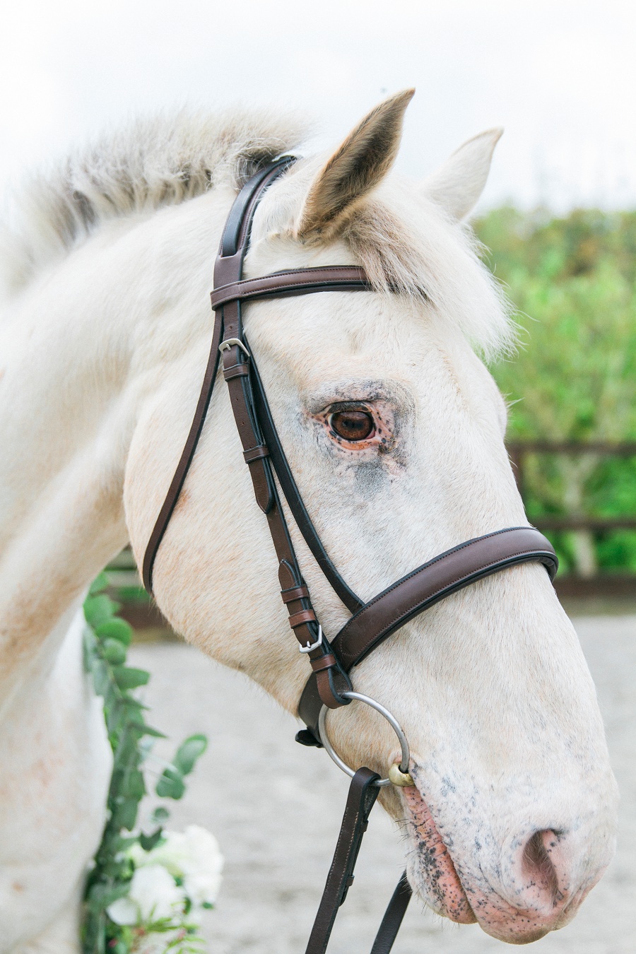 Maxeen Kim Photography, Lifestyle Photography, Portraits, Rachel Jane, For The Love Of Horses, Emma Hunt London, Westwood Design