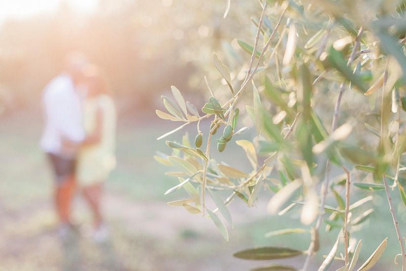 Sunset shoot of a couple in an Olive Grove by Maxeen Kim Photography