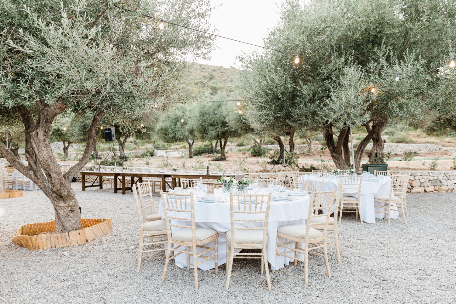 Tables at an olive grove wedding at Kirki on Filiatro beach in Ithaca