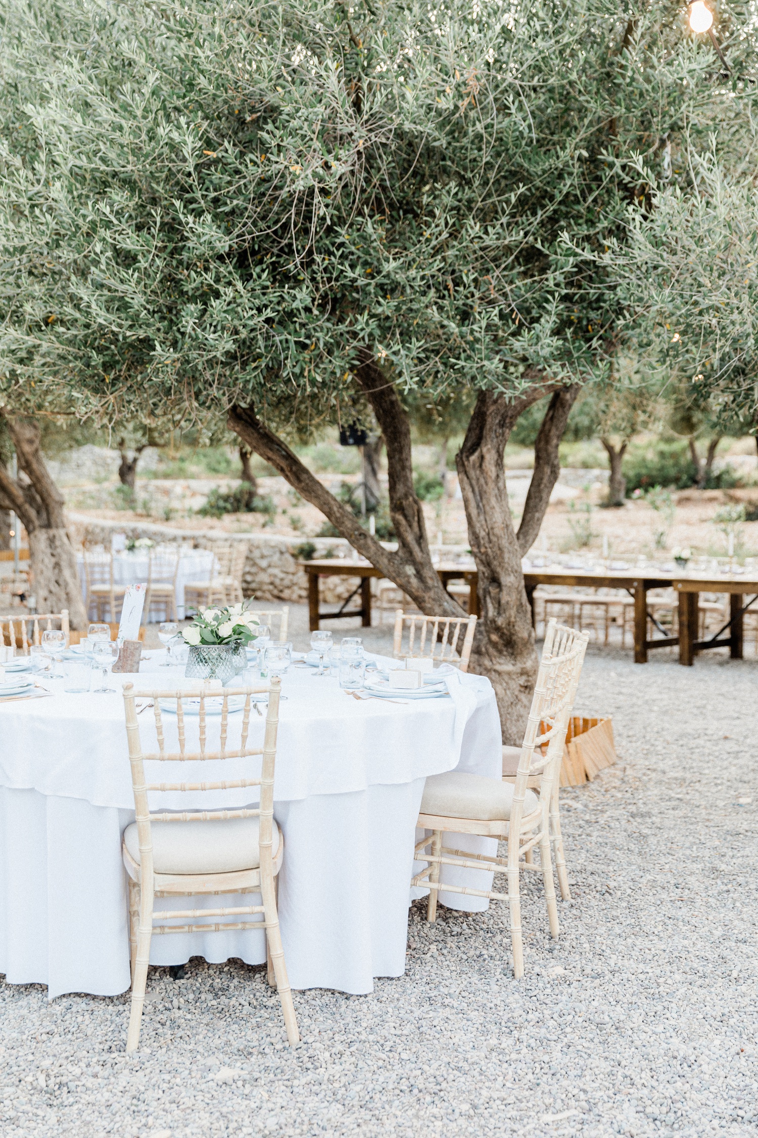 Tables with white and green centrepieces in an olive grove wedding venue on Ithaca
