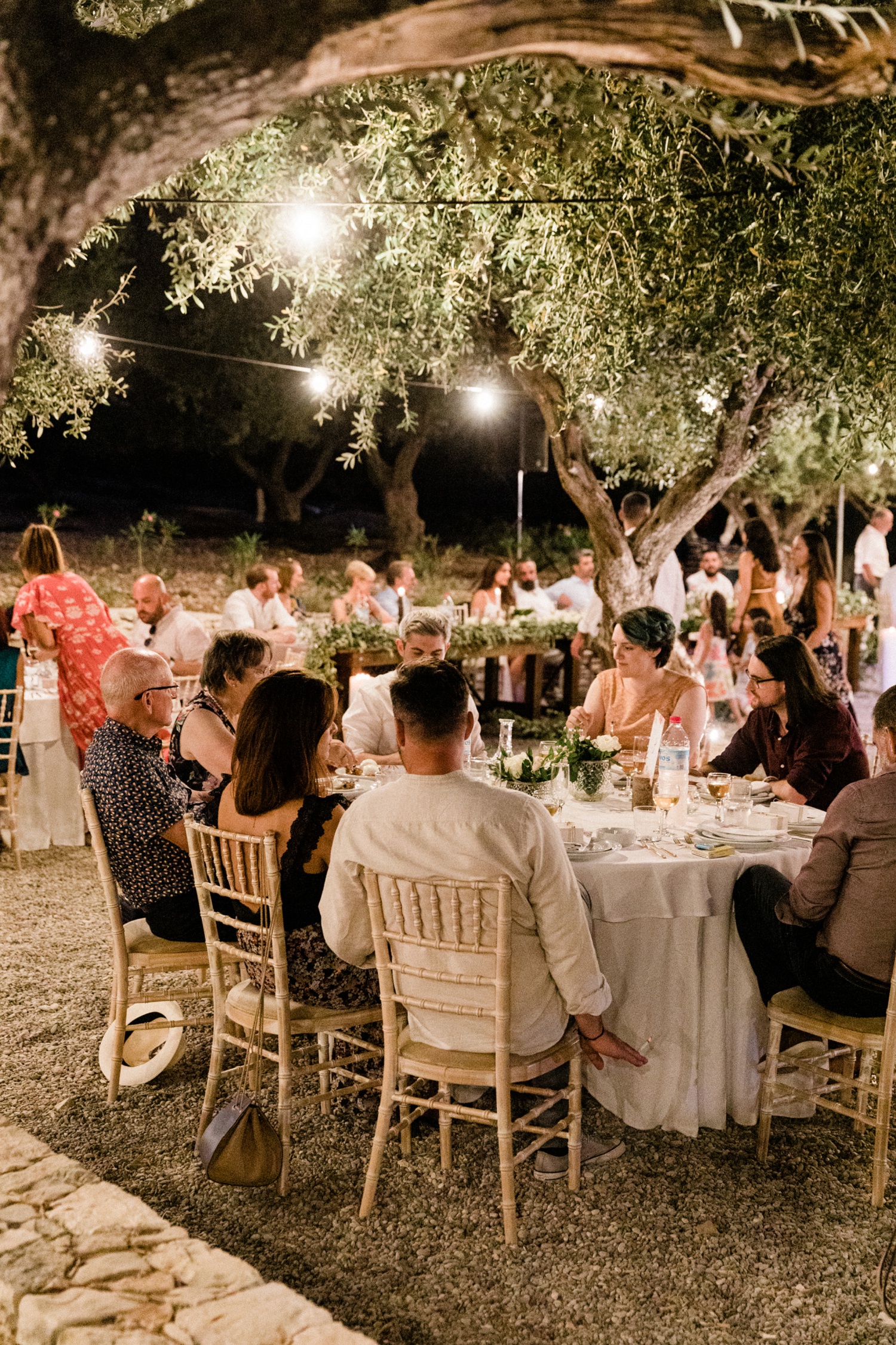 Wedding guests enjoying dinner in an olive grove under strings of fairylights